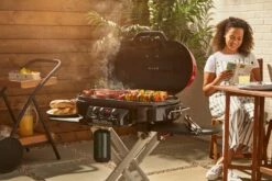 Coleman Roadtrip Portable 3-Burner Propane Gas BBQ Grill With A Folding Cart Stand 27 Coleman Roadtrip Portable 3-Burner Propane Gas BBQ Grill With A Folding Cart Stand -Worx Sales Store coleman 3b roadtrip cart grill 98ce2899 16a4 480c 8ec5 2b6e8b05fec7