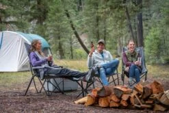 Coleman® Forester Series Sling Camping Chair With Cup Holder, Grey -Worx Sales Store coleman forester sling chair 6e2dcda4 7f52 4076 8e8f 930ed5f281ec